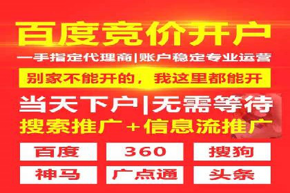 SEO与百度推广结合的营销策略——经典案例解析